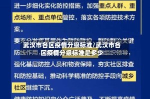 武汉市各区疫情分级标准/武汉市各区疫情分级标准是多少