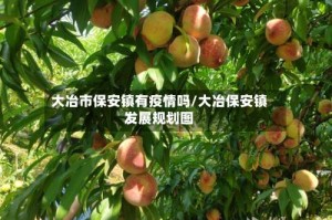 大冶市保安镇有疫情吗/大冶保安镇发展规划图