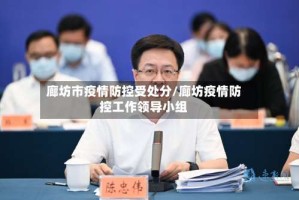 廊坊市疫情防控受处分/廊坊疫情防控工作领导小组