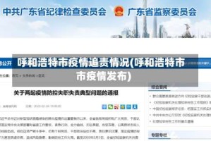 呼和浩特市疫情追责情况(呼和浩特市市疫情发布)