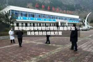 商洛市加强疫情防控措施/商洛市加强疫情防控措施方案