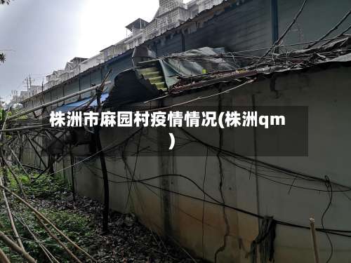 株洲市麻园村疫情情况(株洲qm)-第2张图片