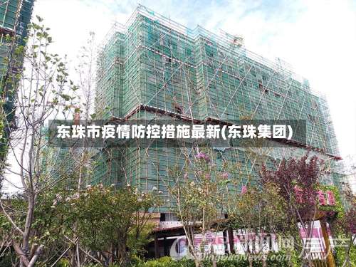 东珠市疫情防控措施最新(东珠集团)-第1张图片