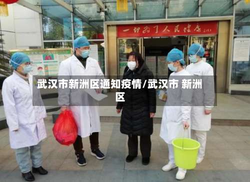 武汉市新洲区通知疫情/武汉市 新洲区-第3张图片