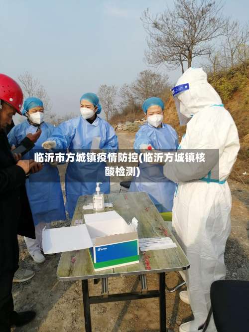临沂市方城镇疫情防控(临沂方城镇核酸检测)-第1张图片