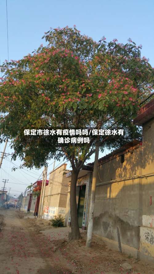 保定市徐水有疫情吗吗/保定徐水有确诊病例吗-第1张图片