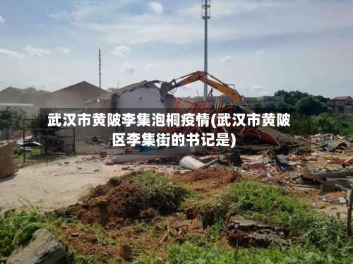 武汉市黄陂李集泡桐疫情(武汉市黄陂区李集街的书记是)-第1张图片