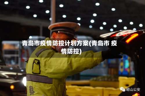 青岛市疫情防控计划方案(青岛市 疫情防控)-第2张图片