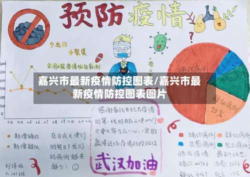 嘉兴市最新疫情防控图表/嘉兴市最新疫情防控图表图片-第1张图片