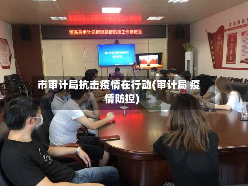 市审计局抗击疫情在行动(审计局 疫情防控)-第1张图片