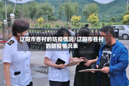 辽阳市各村的防疫情况/辽阳市各村的防疫情况表-第2张图片